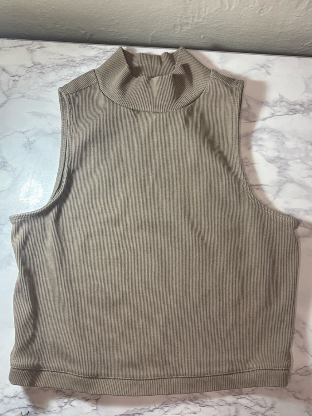 Everlane Ribbed Tank Top in Taupe